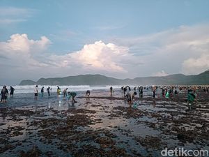 Bau Nyale Dimulai, Warga Lombok Tengah Tumpah Ruah Berburu Cacing di Pantai Bau Nyale Dimulai, Warga Lombok Tengah Tumpah Ruah Berburu Cacing di Pantai
