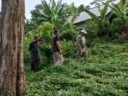 Tanah Gerak Purwodadi Masih Berlanjut, Warga Pilih Bertahan di Pengungsian