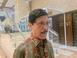 Program Peremajaan Sawit Kembali Gagal Capai Target, Bos BPDP: Karena Sulit!