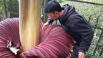 5 Tanaman Paling Aneh yang Pernah Ditemukan