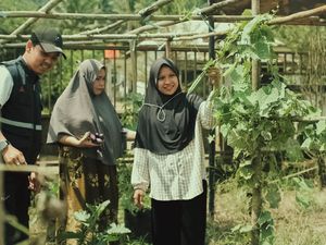Kebun Gizi Jadi Solusi Berkelanjutan Atasi Stunting di Morowali Utara