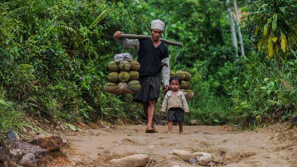 Ada Ritual Adat, Wisatawan Dilarang Masuk Badui Dalam 3 Bulan Ada Ritual Adat, Wisatawan Dilarang Masuk Badui Dalam 3 Bulan