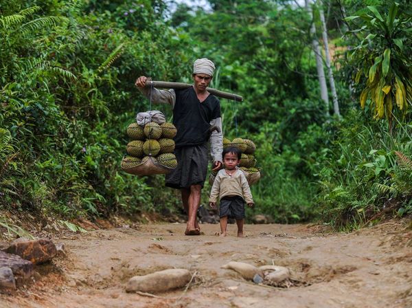 Ada Ritual Adat, Wisatawan Dilarang Masuk Badui Dalam 3 Bulan
