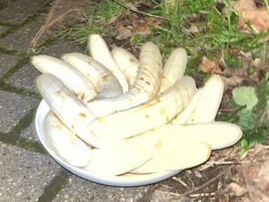 Misterius! Piring Isi Tumpukan Pisang Kupas Selalu Muncul di Jalan Ini