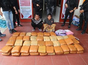 Polisi Gagalkan Pengiriman 74 Kg Ganja ke Jakarta, 2 Kurir Ditangkap Polisi Gagalkan Pengiriman 74 Kg Ganja ke Jakarta, 2 Kurir Ditangkap