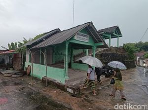 Tawon Vespa di Balecatur Ternyata Berubah Ganas Usai Sarangnya Dirusak Tawon Vespa di Balecatur Ternyata Berubah Ganas Usai Sarangnya Dirusak