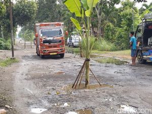 Warga Trenggalek Tanam Pohon Pisang gegara Tak Kunjung Diperbaiki
