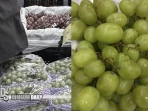 Beli Anggur Premium Rp 193 Ribu, Wanita Ini Kecewa Dikasih yang Standar