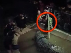 Warga Ngaku Buaya Anggota Keluarga Mereka, MUI Sulsel: Menyimpang dari Akidah!