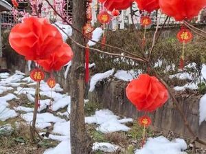 Pakai Salju Palsu, Desa Wisata di China Minta Maaf Pakai Salju Palsu, Desa Wisata di China Minta Maaf