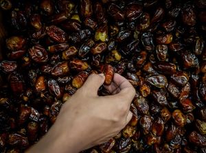 Anjuran Berbuka dengan Kurma Ada Benarnya, Dokter Ungkap Manfaatnya Anjuran Berbuka dengan Kurma Ada Benarnya, Dokter Ungkap Manfaatnya