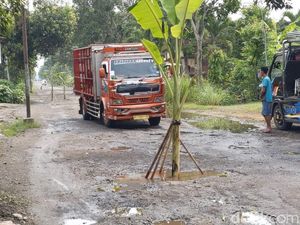 Jalan Rusak Nggak Dibetulin Malah Tumbuh Pohon Pisang yang Berbuah Jalan Rusak Nggak Dibetulin Malah Tumbuh Pohon Pisang yang Berbuah