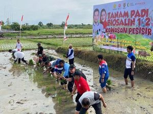 Langkah Pemkot Semarang Bangun Ketahanan Pangan dengan Padi Biosalin Langkah Pemkot Semarang Bangun Ketahanan Pangan dengan Padi Biosalin