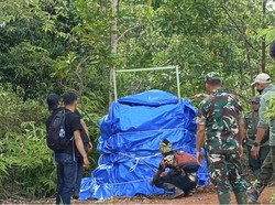 Mangsa Ternak Warga, Harimau Sumatera di Lampung Masuk Kandang Jerat
