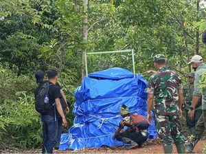 Mangsa Ternak Warga, Harimau Sumatera di Lampung Masuk Kandang Jerat Mangsa Ternak Warga, Harimau Sumatera di Lampung Masuk Kandang Jerat
