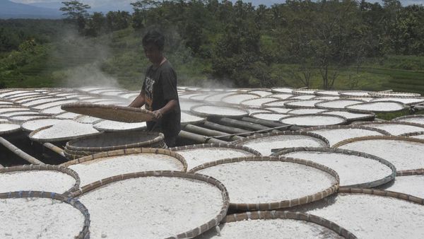 Melihat Proses Penjemuran Tepung Singkong di Tasikmalaya
