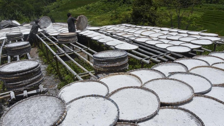 BRIN Kaji Tepung Selain Singkong Jadi Bahan Alternatif Pemadam Api