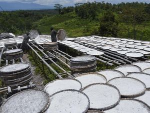 BRIN Kaji Tepung Selain Singkong Jadi Bahan Alternatif Pemadam Api