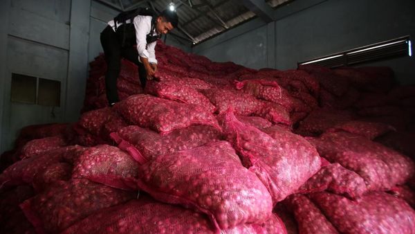 Potret 45 Ton Bawang Merah Ilegal asal Thailand