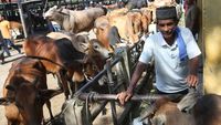 Potret Ramainya Pasar Hewan di Aceh Jelang Ramadan