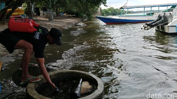 Tumpahan Oli Cemari Pantai Bangsring Banyuwangi