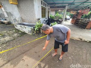 Jejak Kaki Hewan Misterius Bikin Warga Gunungkidul Geger Jejak Kaki Hewan Misterius Bikin Warga Gunungkidul Geger