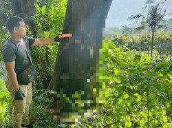 Terlilit Utang, Pria Karangasem Pulang Kampung lalu Gantung Diri