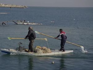 Video: Perjuangan Nelayan Palestina Membangun Kembali Mata Pencariannya