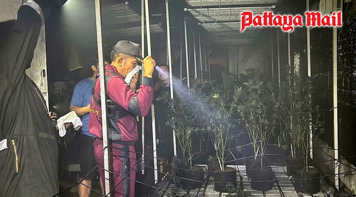 Kebakaran kebun ganja di Thailand