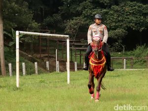 Video: Seru! Anak Jendela Jakarta Diajak Kenalan Sama K9 & Kuda Polisi
