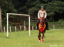 Video: Seru! Anak Jendela Jakarta Diajak Kenalan Sama K9 & Kuda Polisi