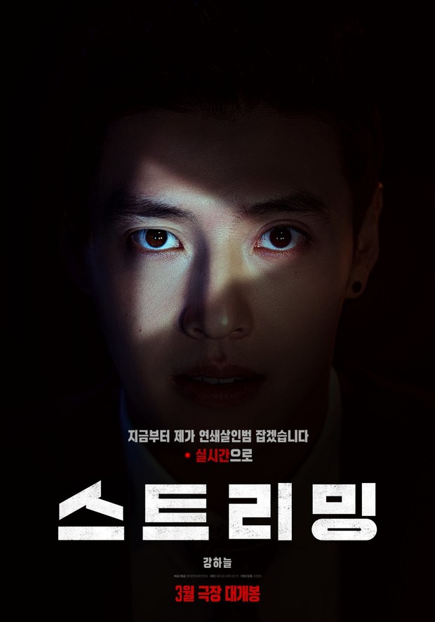 Poster film 'Streaming'