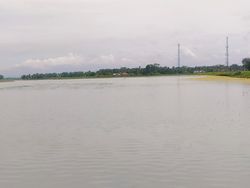 Sawah di Pangandaran Terendam, Petani Terpaksa Tanam Ulang Padi