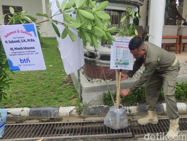 Ucapan Selamat Pelantikan Bupati Sidoarjo dengan Pohon Pule