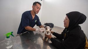 Vaksinasi Rabies Gratis bagi Hewan Peliharaan di Yogyakarta