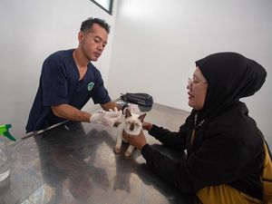 Vaksinasi Rabies Gratis bagi Hewan Peliharaan di Yogyakarta Vaksinasi Rabies Gratis bagi Hewan Peliharaan di Yogyakarta