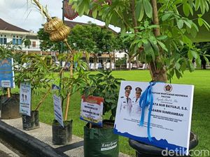 Bibit Tanaman Ucapan Selamat Bupati-Wakil Bupati Pacitan Penuhi Pendopo Bibit Tanaman Ucapan Selamat Bupati-Wakil Bupati Pacitan Penuhi Pendopo