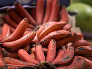 Ramai Dibahas, Ini 5 Fakta Pisang Merah Menarik
