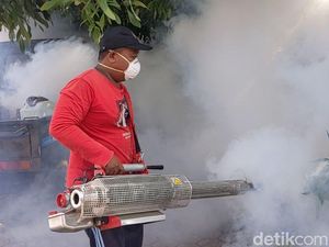 4 Anak di Tulungagung Meninggal Dunia Akibat Demam Berdarah 4 Anak di Tulungagung Meninggal Dunia Akibat Demam Berdarah