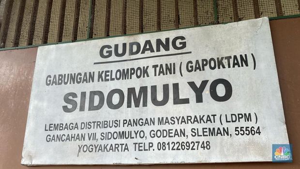 Gabungan kolompok tani (Gudang) Sidomulyo di Godean, Seleman, Yogyakarta, Jumat (21/2/2025). (CNBC. Indonesia/Zahwa Madjid)