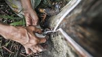 Pemanfaatan Getah Karet Kering untuk Energi Alternatif