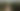 Hutan Amazon. Foto: CNN