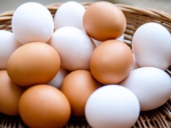 Benarkah Telur Kulit Cokelat Lebih Kaya Nutrisi? Ini Penjelasannya