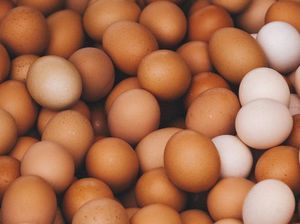 Terungkap! Ini Biang Kerok Harga Telur & Daging Ayam Anjlok