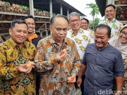 Menkop Budi Arie Ungkap Jenis Koperasi yang Bisa Kelola Tambang