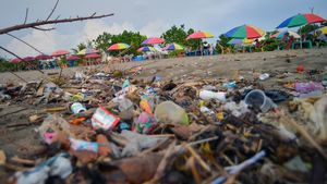 Penampakan Sampah Kotori Pantai Purus Padang