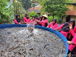 Bhayangkari Tanggulangin Dukung Ketahanan Pangan Nasional