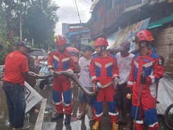 Damkar Evakuasi Ular Sanca 5 Meter Usai Mangsa 2 Ekor Bebek Warga di Jakut