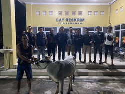 Spesialis Pencuri Hewan Ternak yang Beraksi di 5 TKP Prabumulih Ditangkap