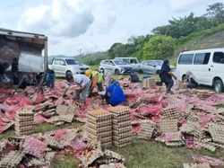 Kebaikan di Balik Musibah Truk Bawa 78 Ribu Telur Terguling